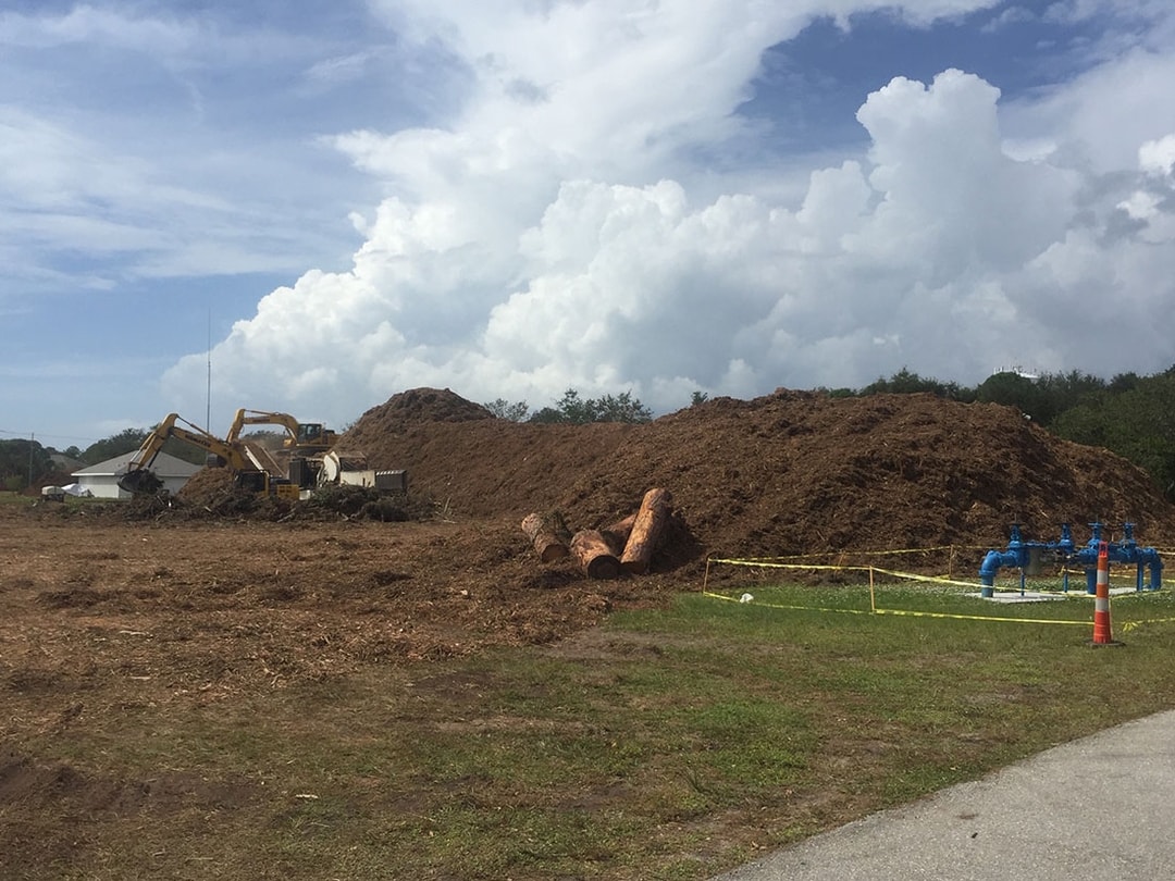 Land Clearing Services Inc South Carolina