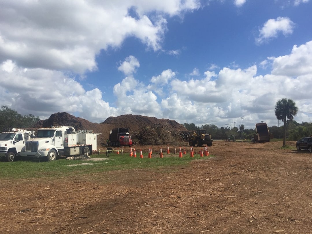 Land Clearing Services Inc South Carolina