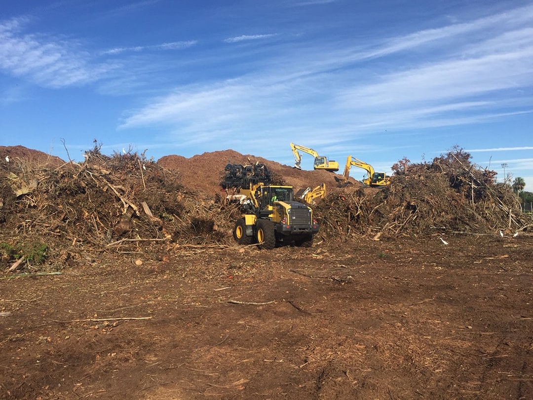 Land Clearing Services Inc South Carolina